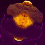 Ekoraketa – digitálna tlač 2006